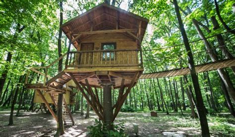 top  sources  treehouse plans    visit tree house plans simple tree house tree