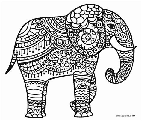 elephant coloring book  adults elegant  printable elephant