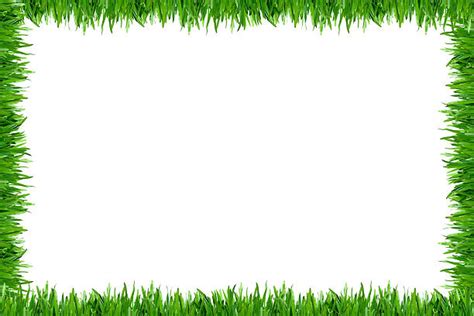 grass border pictures images  stock  istock