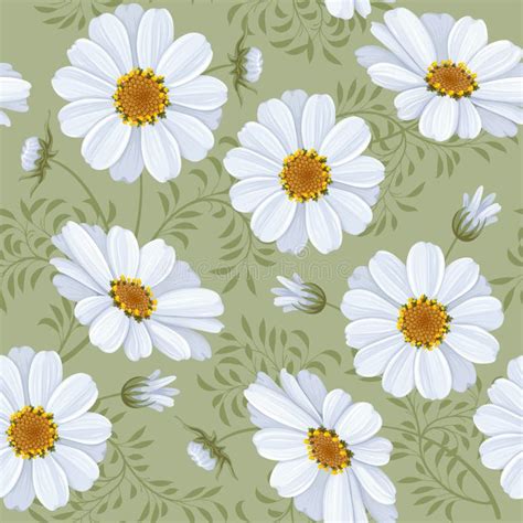 floral seamless pattern daisy stock vector illustration  daisy