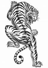 Tiger Coloring Pages Adult Tattoo Print Tattoos Body Designs Animal Cool Temporary Color Mandala Sleeve Tigre Traditional Japanese Craftfoxes Hair sketch template
