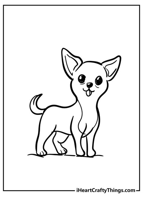 chihuahua coloring pages   printables