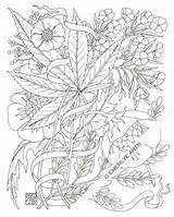 Coloring Pages Weed Adult Stoner Printable Leaf Marijuana Stencil Drawing Plant Color Smoking Trippy Colouring Hemp Books Jane Mary Print sketch template