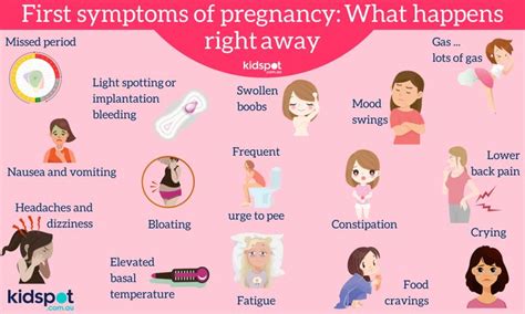 pin  pregnancy signs