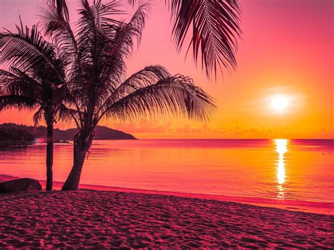 beautiful tropical beach  sunrise  stock photo  vecteezy