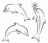 Delfini Ausdrucken Dolphin Delphin Malvorlagen Gratis Delfin Delfines sketch template