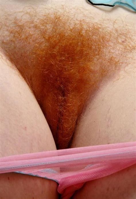 hairy redhead pussy in close up xooly