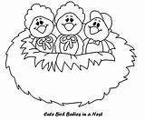 Nest Coloringpagesfortoddlers sketch template