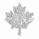 Abstract Coloring Ca Leaf Colouring Drawings Maple Canadian Drawing Alternative Pages sketch template