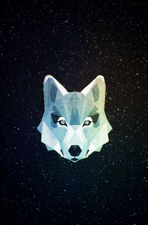 Galaxy Wolf Wallpapers Top Free Galaxy Wolf Backgrounds