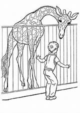 Zoo Ausmalbilder Giraffe Coloring4free Malvorlagen Momjunction Letzte sketch template
