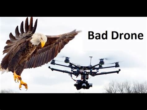 eagles  drones youtube