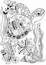 Mandala Erwachsene Mandalas Ausmalbilder Tiere Frühling Zentangle Imprimir Bunte Coloriage Tortue Turtles Malbuch Colorista Spectrum Difficult Differenzierung Bordar Crafterscompanion Unterwasser sketch template