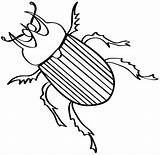 Insectos Escarabajo Escarabajos Gusanos Niños Picasa sketch template