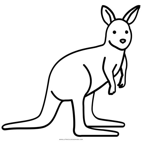 kangaroo coloring page ultra coloring pages