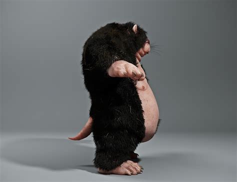 cgmonkeyking extremely fat rat concept
