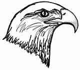 Eagle Coloring Head Bald Drawing Easy Netart Clipart Kids Clipartbest Getdrawings Button Using Print sketch template