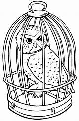 Potter Harry Owl Coloring Pages Värityskuvat Coloringpages7 Printable Colouring Cartoon Random Color Br Värityskuva Kids Colorir Print Book Quilt Drawings sketch template