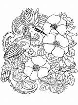 Hoopoe Voorjaar Hop Bloemen Flores Birds Vogels Supercoloring Eurasian Stemmen sketch template