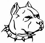 Pitbull Head Decals Decal Dog Bull Pit Face Drawing Sticker Puppy Car Pages Drawings Pitbulls Vinyl Blue Coloring Easy Dawg sketch template
