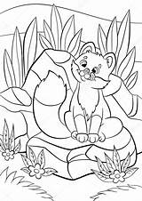 Fox Baby Cute Coloring Pages Wild Animals Looks Little Bug Drawing Getdrawings sketch template