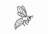 Bee Coloring Large Edupics sketch template