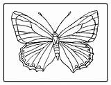 Butterfly Coloring Monarch Pages Getdrawings Color sketch template