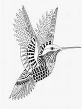 Hummingbird Zentangle Kleurplaten Ausmalen Kolibrie Efie Colorear Tattoo Kleurplaat Kwok Colibri Vogel Hummingbirds Humming Zen Boyama Kolibri Vogels Kus Colibrí sketch template