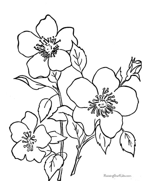 printable coloring sheets