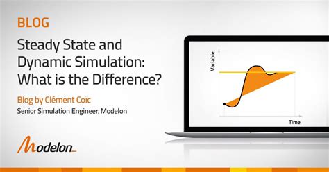 steady state  dynamic simulation    difference
