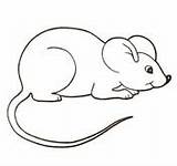 Mouse Coloring Pages Color Clipart Mice Printable Cute Colouring House Para Rato Paint Drawing Desenho Kids Supercoloring Crafts Colorir Google sketch template