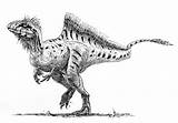 Prehistoric Dinosaurs Creatures Yutyrannus Animal Concavenator Fossils sketch template