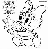Duck Daisy Printable Entitlementtrap Exclusive sketch template