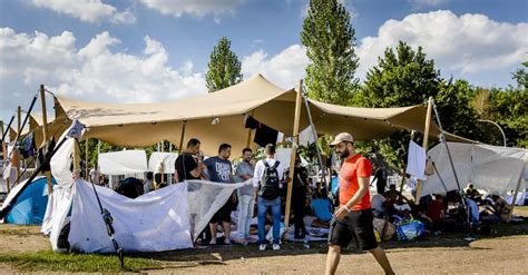 netherlands ter apel asylum seekers  moving   destinations