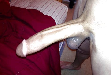 Gratuite homme photo pornographique