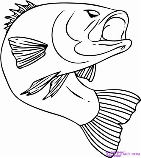 bass fish coloring pages coloring home