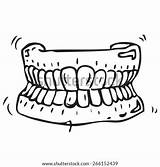 Teeth False Dental Stock Prosthesis Doodle Shutterstock Vectors Royalty Vector sketch template
