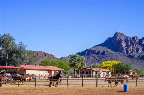 fun ranch holiday  arizona   united states equus journeys