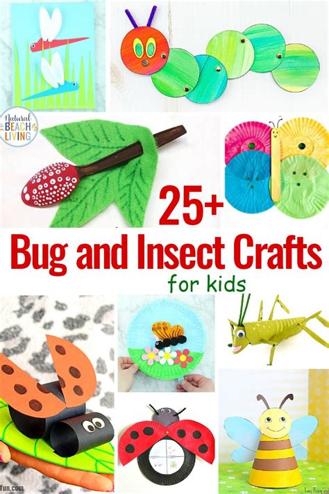 bug  insect crafts  kids natural beach living