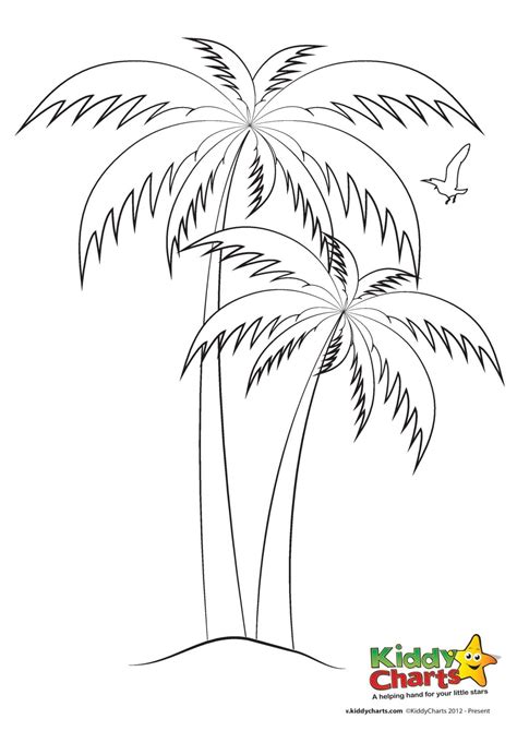palm tree colouring sheet