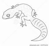Gecko sketch template