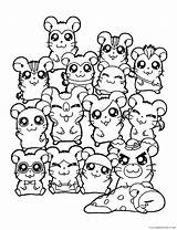 Hamster Coloring4free sketch template
