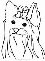 Coloring Pages Yorkie Terrier Dog Drawing Puppy Line Female Beautiful 1e45 Printable Yorkshire Color Highland West Getcolorings Print Cartoon Getdrawings sketch template