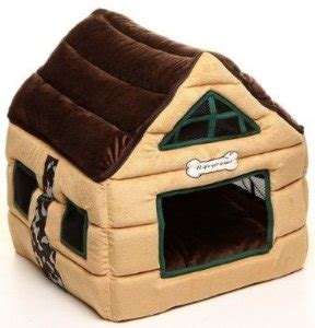 insulate  dog house