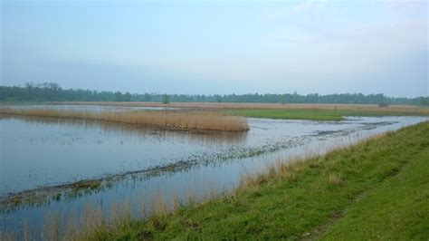 vogels  de oranjepolder en ver daarbuiten genieten  een bijzondere polder