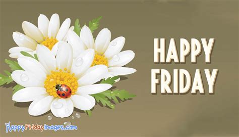 happy friday images  flowers