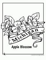 Coloring Flower Pages State Sheets Flowers Cute Wisconsin Adult Wyoming Michigan Camping Popular Crafts Colors sketch template