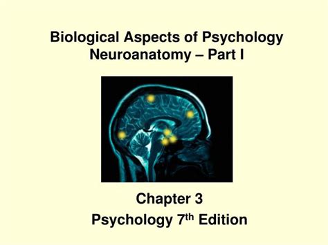 ppt biological aspects of psychology neuroanatomy part i powerpoint