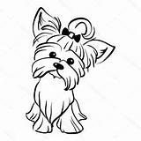 Yorkshire Terrier Yorkie Sentado Yorkies Puppy Alamy Gracioso Vectorial sketch template
