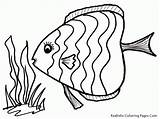 Coloring Rainbow Fish Printable Popular sketch template